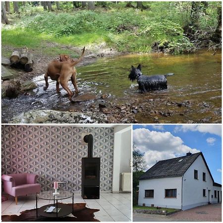 Nationalpark Ferienhaus Sophia-Luisa Borfink Exteriér fotografie