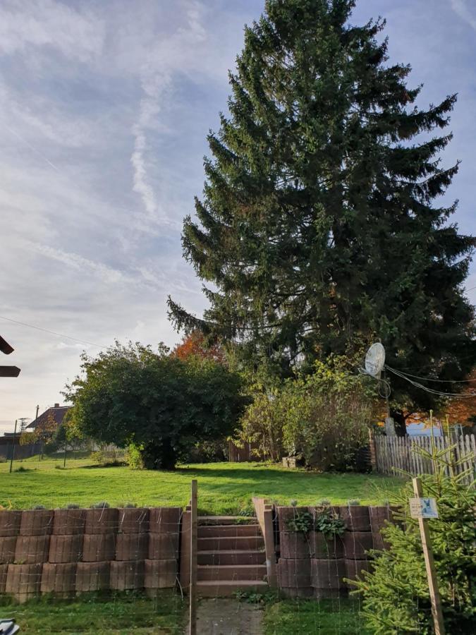 Nationalpark Ferienhaus Sophia-Luisa Borfink Exteriér fotografie
