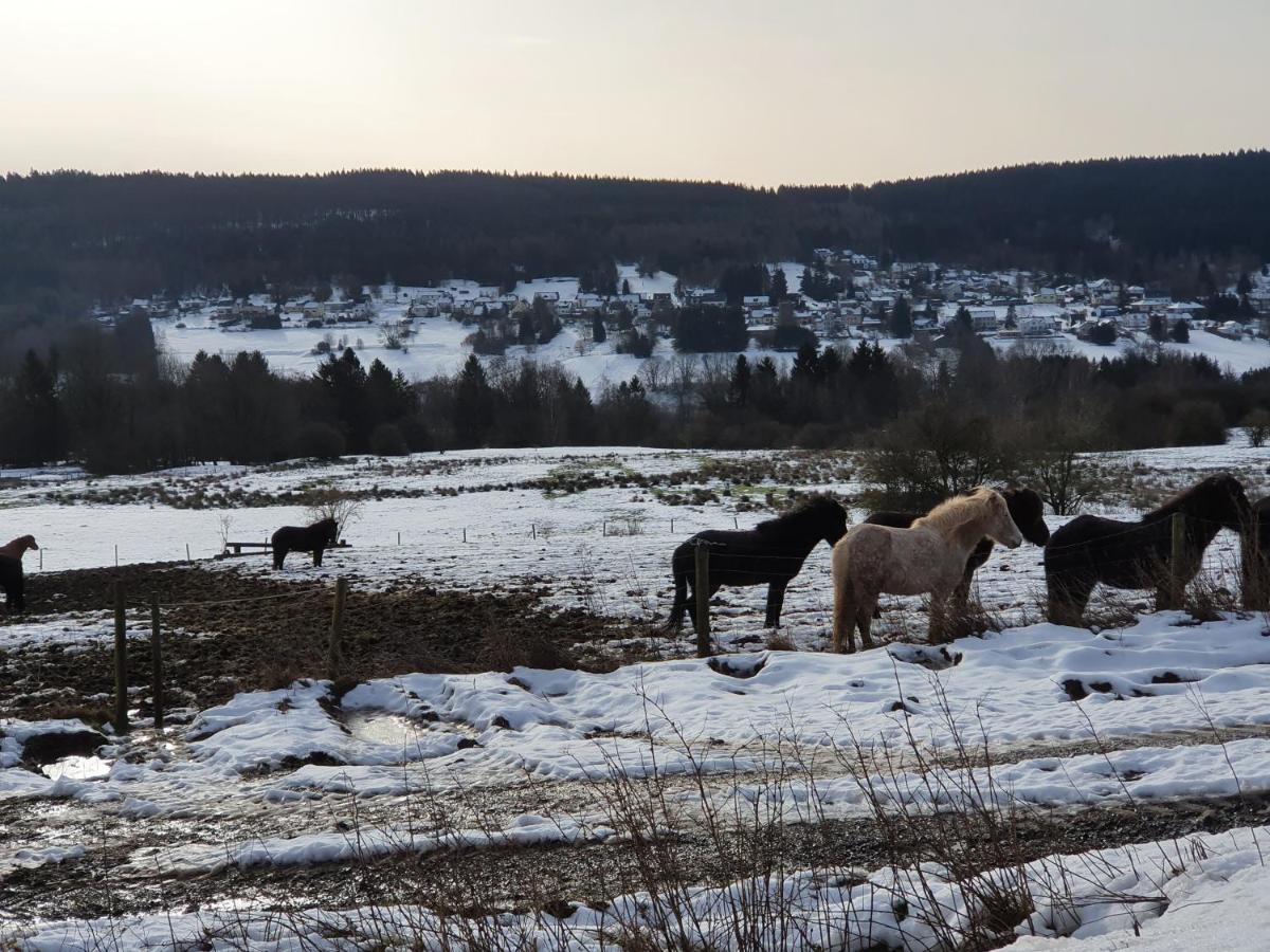 Nationalpark Ferienhaus Sophia-Luisa Borfink Exteriér fotografie