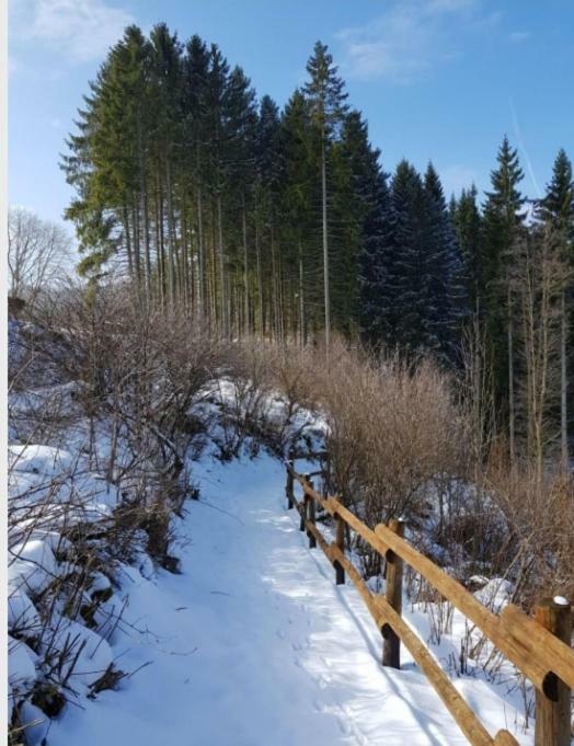 Nationalpark Ferienhaus Sophia-Luisa Borfink Exteriér fotografie